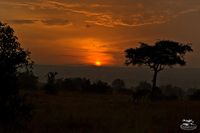 Afrika Landscape No-15